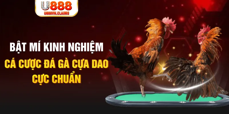 s6666 m trong baccarat, ai là người chia bài chính？
