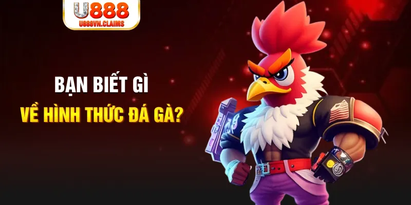 s6666 m đăng nhập mậu binh dễ thắng
