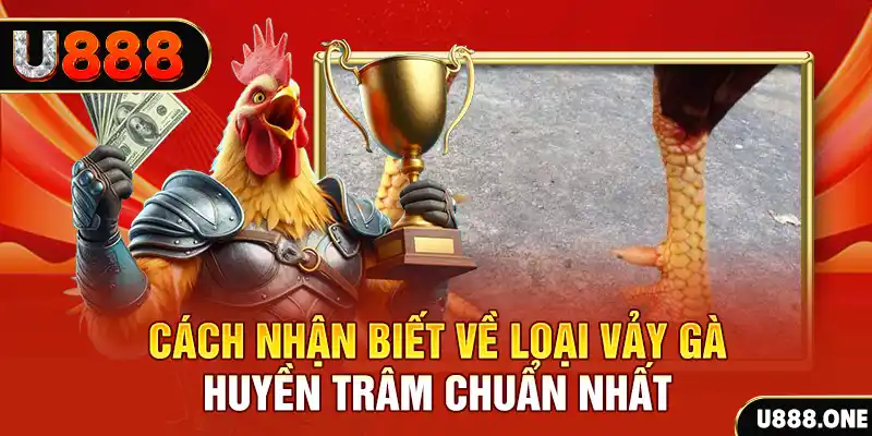 s6666 m Chú hề Patty tuổi teen