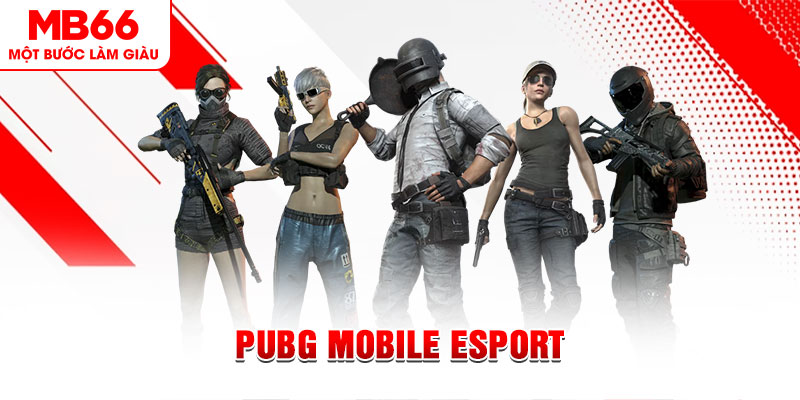 s6666 m gà chọi c1 mới nhất