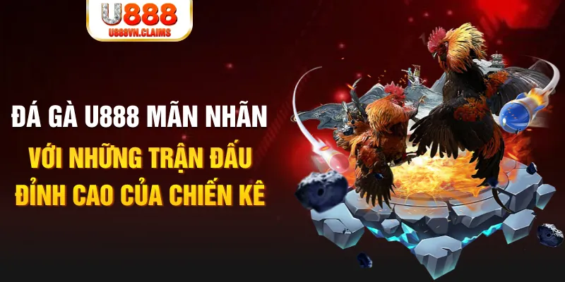 s6666 m kết quả xổ số miền bắc ngày hôm nay
