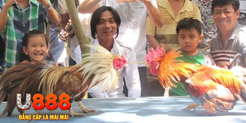 s6666 m mơ thấy nổ hũ đánh con gì