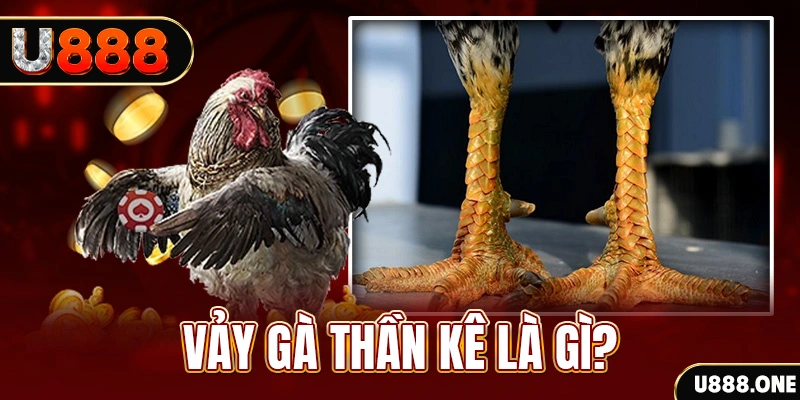 s6666 m xổ số miền bắc thứ tư hàng tuần