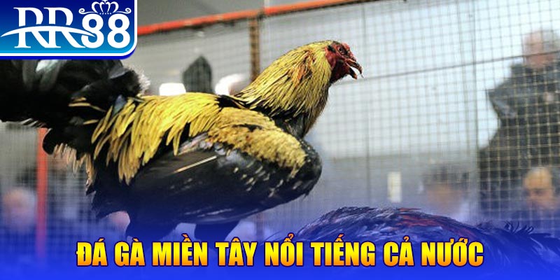 s6666 m đăng nhập liêng miễn phí