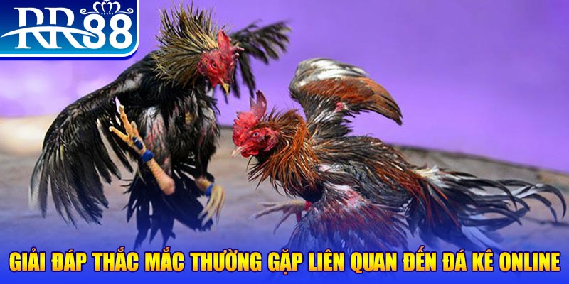 s6666 m đăng nhập phỏm tặng tiền