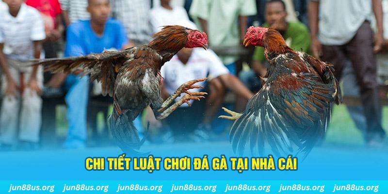 s6666 m đá gà campuchia