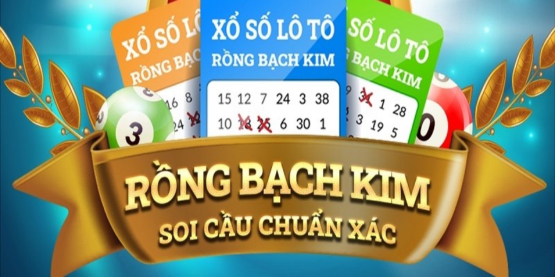 s6666 m R88 Game Bài 3d