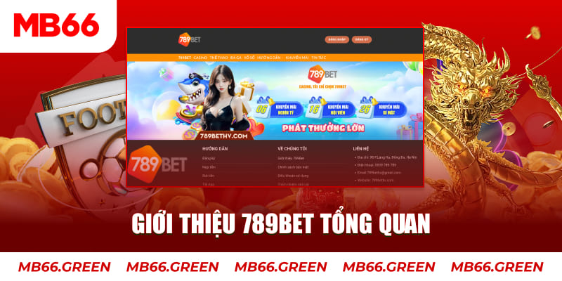 s6666 m đăng nhập mậu binh trực tiếp