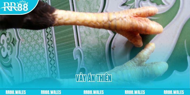 s6666 m who wants to be a millionaire slot