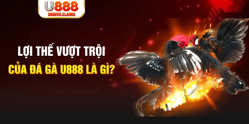 s6666 m 888 slot là gì